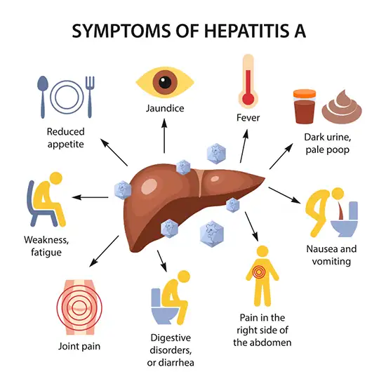 Hepatitis A Virus PCR Detection